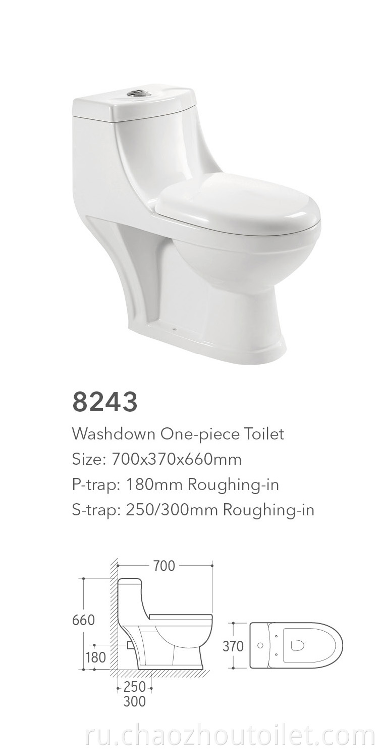 8243 One Piece Toilet
